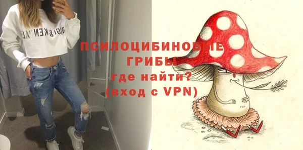 твердый Абаза