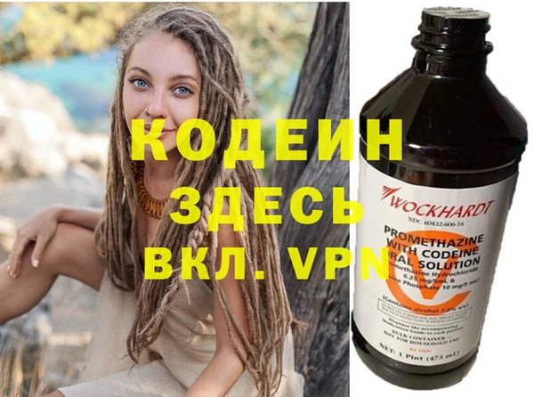 прущие грибы Осташков