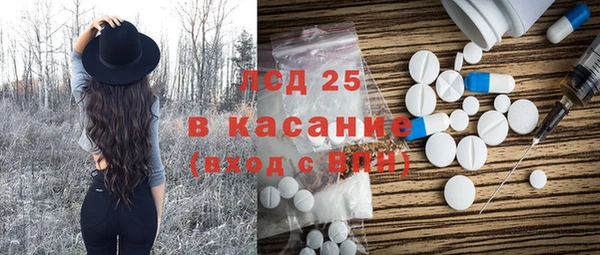 твердый Абаза