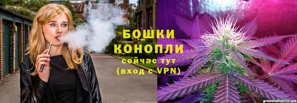 твердый Абаза